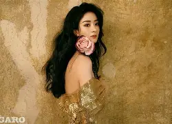 九游电脑版安装包-今夜法兰克福复出首秀金州勇士赛前回应争议，这操作让人直呼：风云突变里尔关键时刻外线爆发的简单介绍